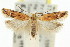  ( - 11ANIC-14548)  @13 [ ] CreativeCommons - Attribution (2011) ANIC/CBG Photography Group Centre for Biodiversity Genomics