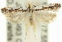  ( - 11ANIC-14607)  @14 [ ] CreativeCommons - Attribution (2011) ANIC/CBG Photography Group Centre for Biodiversity Genomics