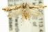  ( - 11ANIC-14616)  @14 [ ] CreativeCommons - Attribution (2011) ANIC/CBG Photography Group Centre for Biodiversity Genomics