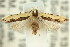  ( - 11ANIC-14621)  @13 [ ] CreativeCommons - Attribution (2011) ANIC/CBG Photography Group Centre for Biodiversity Genomics