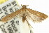  ( - 11ANIC-14731)  @11 [ ] CreativeCommons - Attribution (2011) ANIC/CBG Photography Group Centre for Biodiversity Genomics