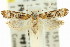  ( - 11ANIC-14754)  @13 [ ] CreativeCommons - Attribution (2011) ANIC/CBG Photography Group Centre for Biodiversity Genomics