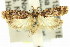  ( - 11ANIC-14763)  @13 [ ] CreativeCommons - Attribution (2011) ANIC/CBG Photography Group Centre for Biodiversity Genomics