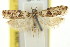  ( - 11ANIC-15024)  @11 [ ] CreativeCommons - Attribution (2011) ANIC/CBG Photography Group Centre for Biodiversity Genomics