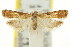  ( - 11ANIC-15078)  @11 [ ] CreativeCommons - Attribution (2011) ANIC/CBG Photography Group Centre for Biodiversity Genomics