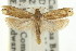  ( - 11ANIC-15141)  @13 [ ] CreativeCommons - Attribution (2011) ANIC/CBG Photography Group Centre for Biodiversity Genomics