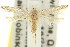  ( - 11ANIC-15167)  @11 [ ] CreativeCommons - Attribution (2011) ANIC/CBG Photography Group Centre for Biodiversity Genomics
