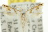  ( - 11ANIC-15175)  @13 [ ] CreativeCommons - Attribution (2011) ANIC/CBG Photography Group Centre for Biodiversity Genomics