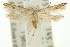  ( - 11ANIC-15186)  @11 [ ] CreativeCommons - Attribution (2011) ANIC/CBG Photography Group Centre for Biodiversity Genomics