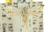  ( - 11ANIC-15229)  @11 [ ] CreativeCommons - Attribution (2011) ANIC/CBG Photography Group Centre for Biodiversity Genomics
