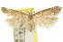  ( - 11ANIC-15253)  @11 [ ] CreativeCommons - Attribution (2011) ANIC/CBG Photography Group Centre for Biodiversity Genomics