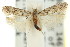  ( - 11ANIC-15254)  @13 [ ] CreativeCommons - Attribution (2011) ANIC/CBG Photography Group Centre for Biodiversity Genomics