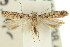  ( - 11ANIC-15255)  @13 [ ] CreativeCommons - Attribution (2011) ANIC/CBG Photography Group Centre for Biodiversity Genomics