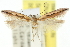  ( - 11ANIC-15334)  @11 [ ] CreativeCommons - Attribution (2011) ANIC/CBG Photography Group Centre for Biodiversity Genomics