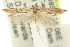  ( - 11ANIC-15341)  @12 [ ] CreativeCommons - Attribution (2011) ANIC/CBG Photography Group Centre for Biodiversity Genomics