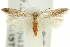  ( - 11ANIC-15398)  @11 [ ] CreativeCommons - Attribution (2011) ANIC/CBG Photography Group Centre for Biodiversity Genomics