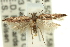  ( - 11ANIC-15400)  @13 [ ] CreativeCommons - Attribution (2011) ANIC/CBG Photography Group Centre for Biodiversity Genomics