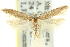  ( - 11ANIC-15412)  @11 [ ] CreativeCommons - Attribution (2011) ANIC/CBG Photography Group Centre for Biodiversity Genomics