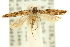  ( - 11ANIC-15438)  @13 [ ] CreativeCommons - Attribution (2011) ANIC/CBG Photography Group Centre for Biodiversity Genomics