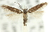  ( - 11ANIC-15465)  @11 [ ] CreativeCommons - Attribution (2011) ANIC/CBG Photography Group Centre for Biodiversity Genomics