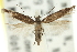  ( - 11ANIC-15466)  @11 [ ] CreativeCommons - Attribution (2011) ANIC/CBG Photography Group Centre for Biodiversity Genomics