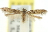  ( - 11ANIC-15467)  @11 [ ] CreativeCommons - Attribution (2011) ANIC/CBG Photography Group Centre for Biodiversity Genomics