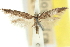  ( - 11ANIC-15472)  @11 [ ] CreativeCommons - Attribution (2011) ANIC/CBG Photography Group Centre for Biodiversity Genomics