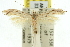  ( - 11ANIC-15625)  @11 [ ] CreativeCommons - Attribution (2011) ANIC/CBG Photography Group Centre for Biodiversity Genomics