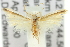  ( - 11ANIC-15664)  @14 [ ] CreativeCommons - Attribution (2011) ANIC/CBG Photography Group Centre for Biodiversity Genomics
