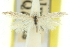  ( - 11ANIC-15665)  @11 [ ] CreativeCommons - Attribution (2011) ANIC/CBG Photography Group Centre for Biodiversity Genomics