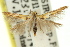  ( - 11ANIC-15791)  @11 [ ] CreativeCommons - Attribution (2011) ANIC/CBG Photography Group Centre for Biodiversity Genomics