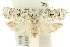  ( - 11ANIC-15906)  @11 [ ] CreativeCommons - Attribution (2011) ANIC/CBG Photography Group Centre for Biodiversity Genomics
