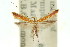  ( - 11ANIC-16058)  @11 [ ] CreativeCommons - Attribution (2011) ANIC/CBG Photography Group Centre for Biodiversity Genomics