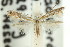  ( - 11ANIC-16080)  @11 [ ] CreativeCommons - Attribution (2011) ANIC/CBG Photography Group Centre for Biodiversity Genomics