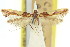  ( - 11ANIC-16089)  @11 [ ] CreativeCommons - Attribution (2011) ANIC/CBG Photography Group Centre for Biodiversity Genomics