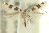  ( - 11ANIC-16298)  @11 [ ] CreativeCommons - Attribution (2011) ANIC/CBG Photography Group Centre for Biodiversity Genomics