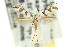  ( - 11ANIC-16306)  @11 [ ] CreativeCommons - Attribution (2011) ANIC/CBG Photography Group Centre for Biodiversity Genomics