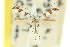  ( - 11ANIC-16307)  @11 [ ] CreativeCommons - Attribution (2011) ANIC/CBG Photography Group Centre for Biodiversity Genomics