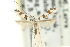  (Acrocercops sp. ANIC2 - 11ANIC-16308)  @11 [ ] CreativeCommons - Attribution (2011) ANIC/CBG Photography Group Centre for Biodiversity Genomics