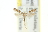  ( - 11ANIC-16314)  @11 [ ] CreativeCommons - Attribution (2011) ANIC/CBG Photography Group Centre for Biodiversity Genomics