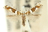  ( - 11ANIC-16324)  @11 [ ] CreativeCommons - Attribution (2011) ANIC/CBG Photography Group Centre for Biodiversity Genomics