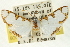  (Cirrhochrista sp. AAO3587 - BIOUG01407-F11)  @14 [ ] CreativeCommons - Attribution (2011) Zhaofu Yang, BIO Centre for Biodiversity Genomics