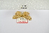  ( - ANHRTUK-00010945)  @11 [ ] Copyright (2021) Unspecified ANHRT