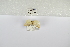  ( - ANHRTUK-00018979)  @11 [ ] Copyright (2021) Unspecified ANHRT