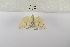 ( - ANHRTUK-00019267)  @11 [ ] Copyright (2021) Unspecified ANHRT