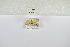  ( - ANHRTUK-00019295)  @11 [ ] Copyright (2021) Unspecified ANHRT