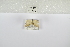 ( - ANHRTUK-00019486)  @11 [ ] Copyright (2021) Unspecified ANHRT