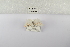  ( - ANHRTUK-00026318)  @11 [ ] Copyright (2021) Unspecified ANHRT