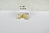  ( - ANHRTUK-00046327)  @11 [ ] Copyright (2021) Unspecified ANHRT