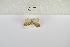 ( - ANHRTUK-00059339)  @11 [ ] Copyright (2021) Unspecified ANHRT